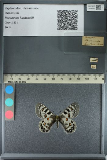 Media type: image;   Entomology 180303